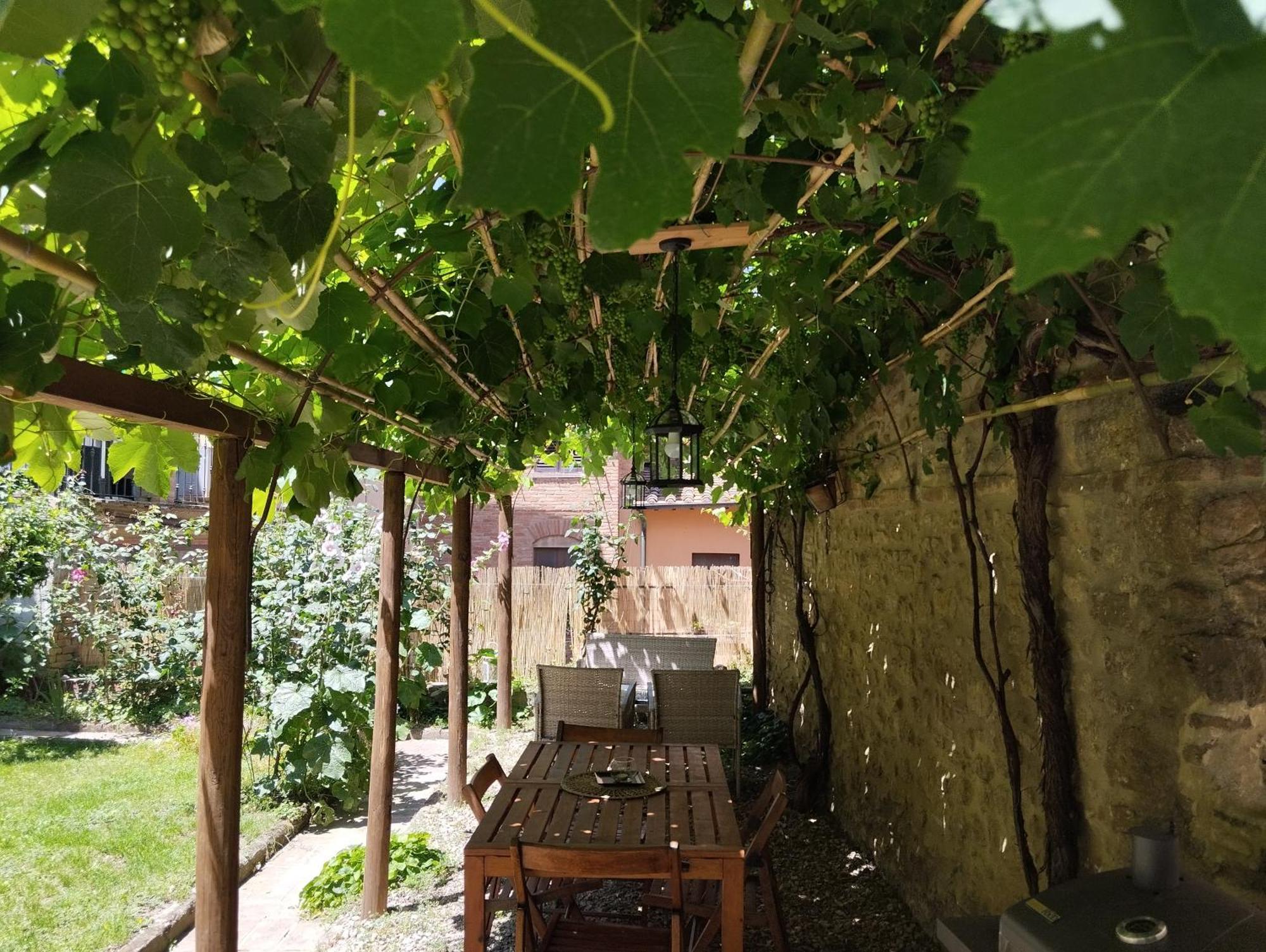 Il Cantuccio- Appartamento In Centro Con Giardino 볼테라 외부 사진
